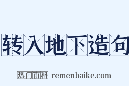 转入地下造句是什么意思的图片